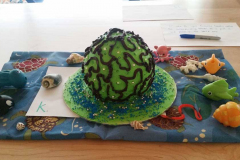 A Coral Cake Made for the Plastic Free Morning Tea