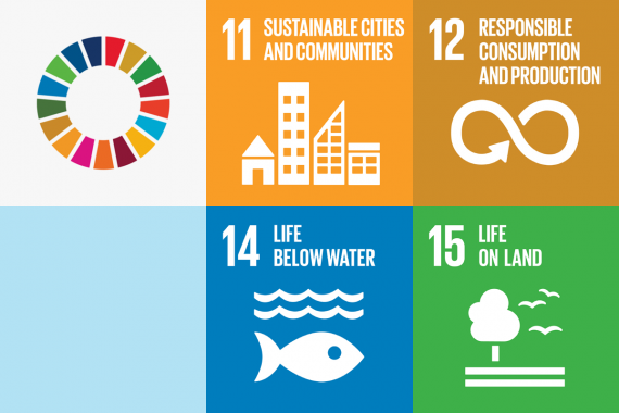 Graphic with four of the United Nations Sustainable Development Goals: Sustainable Cities and Communities, Responsible Consumption and Production, Life Below water and Life on Land.
