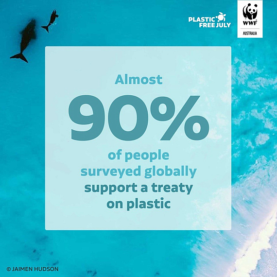 WWF Rising Tides infographic for the plastics treaty
